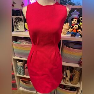 Vici Collection Hot Pink Bodycon Dress Size Small